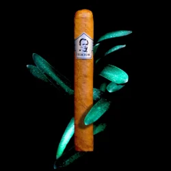 Tektor Cigars Petit Corona