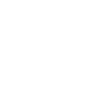 Flor De Selva Logotype