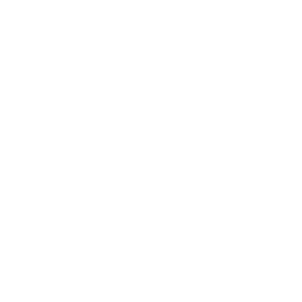 Flor De Selva Logotype