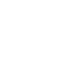 Plasencia Cigars Logo