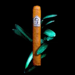 Tektor Cigars Petit Corona