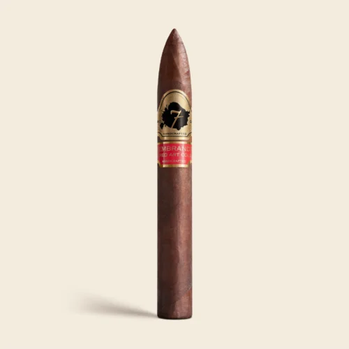 El Septimo Rembrandt Torpedo
