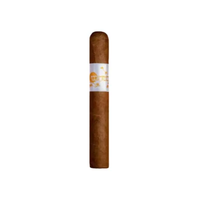 Principle Accomplice Classic Robusto