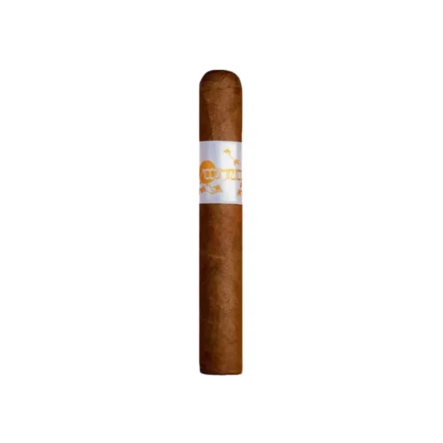 Principle Accomplice Classic Robusto