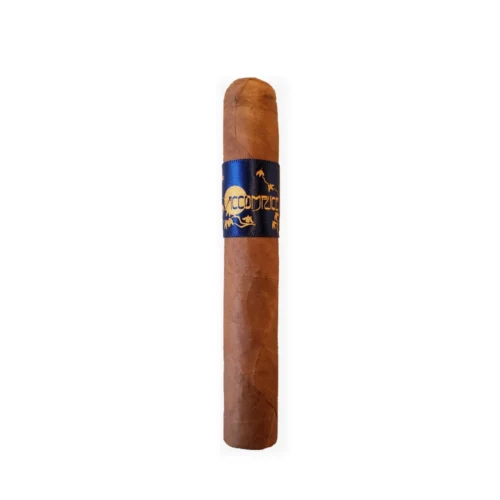 Principle Accomplice Connecticut Robusto